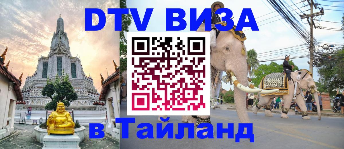 Сколько стоит DTV виза — актуальные цены, оформление даже без документов - Евпатория  21.11.2025 